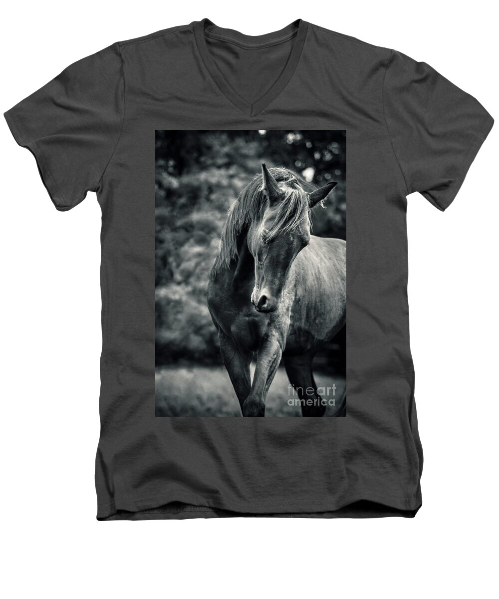 Horse Men's V-Neck T-Shirt featuring the photograph Black and white portrait of horse by Dimitar Hristov