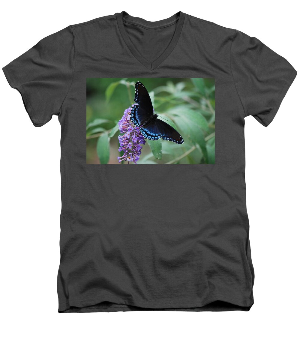 Butterfly Men's V-Neck T-Shirt featuring the photograph Black Beauty by Lori Tambakis