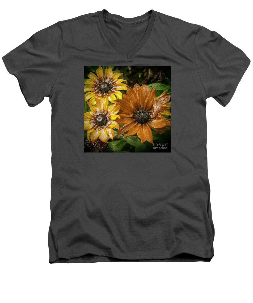 Black Eyed Susan Men's V-Neck T-Shirt featuring the photograph Black Eyed Susan by Barry Weiss