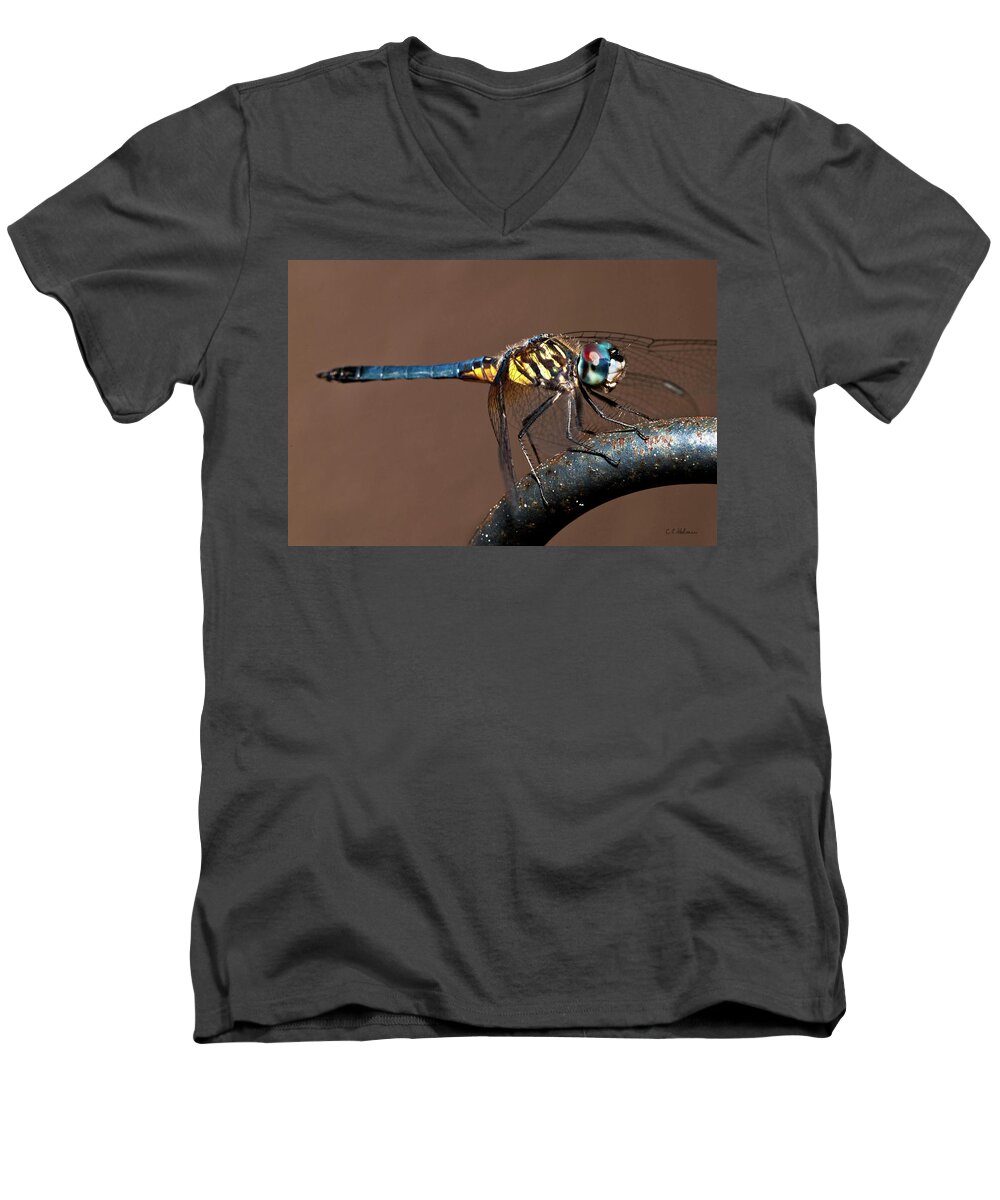 Dragonfly Men's V-Neck T-Shirt featuring the photograph Blue and Gold Dragonfly by Christopher Holmes