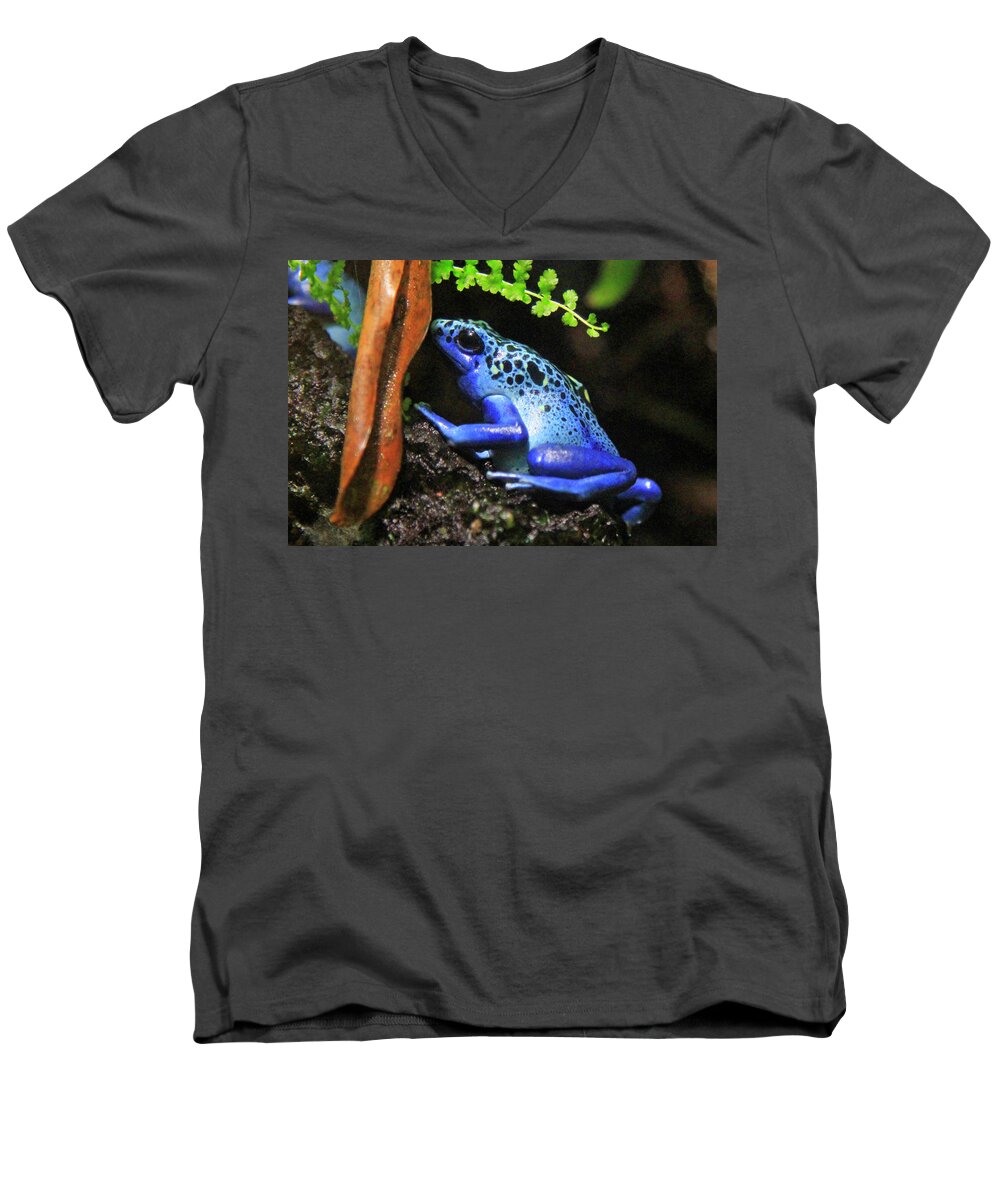 Frog Men's V-Neck T-Shirt featuring the photograph Blue Dart Frog by Shoal Hollingsworth
