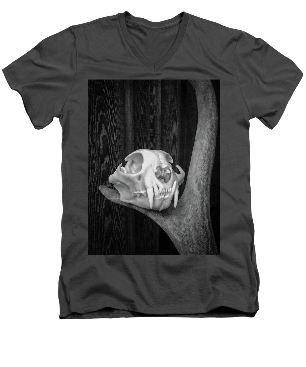 Bobcat Skull Men's V-Neck T-Shirt featuring the photograph Bobcat Deer Antler BW 2 by Ronda Broatch