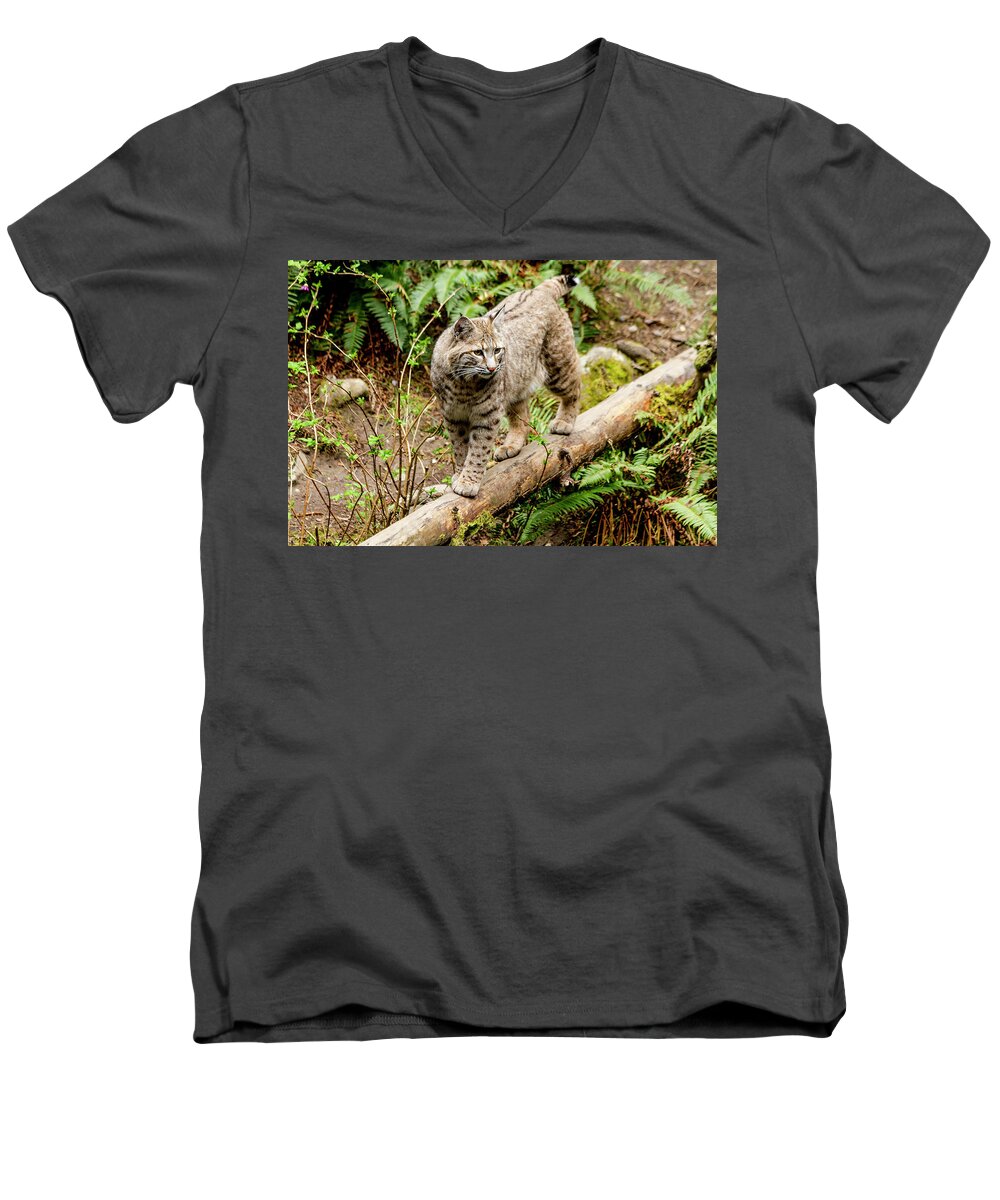 Animal Men's V-Neck T-Shirt featuring the photograph Bobcat in Forest by Teri Virbickis
