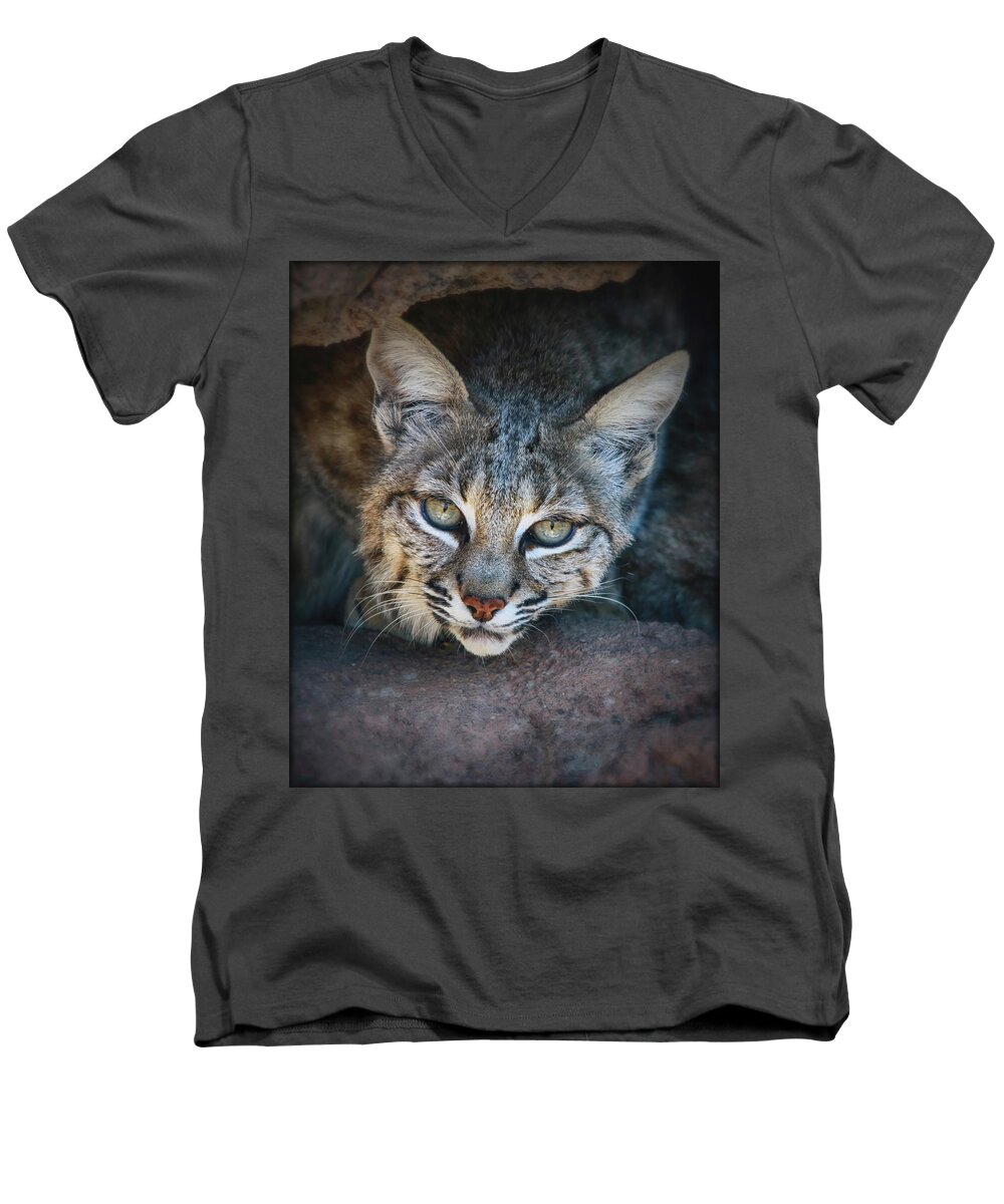 Bobcats Men's V-Neck T-Shirt featuring the photograph Bobcat Stare by Elaine Malott