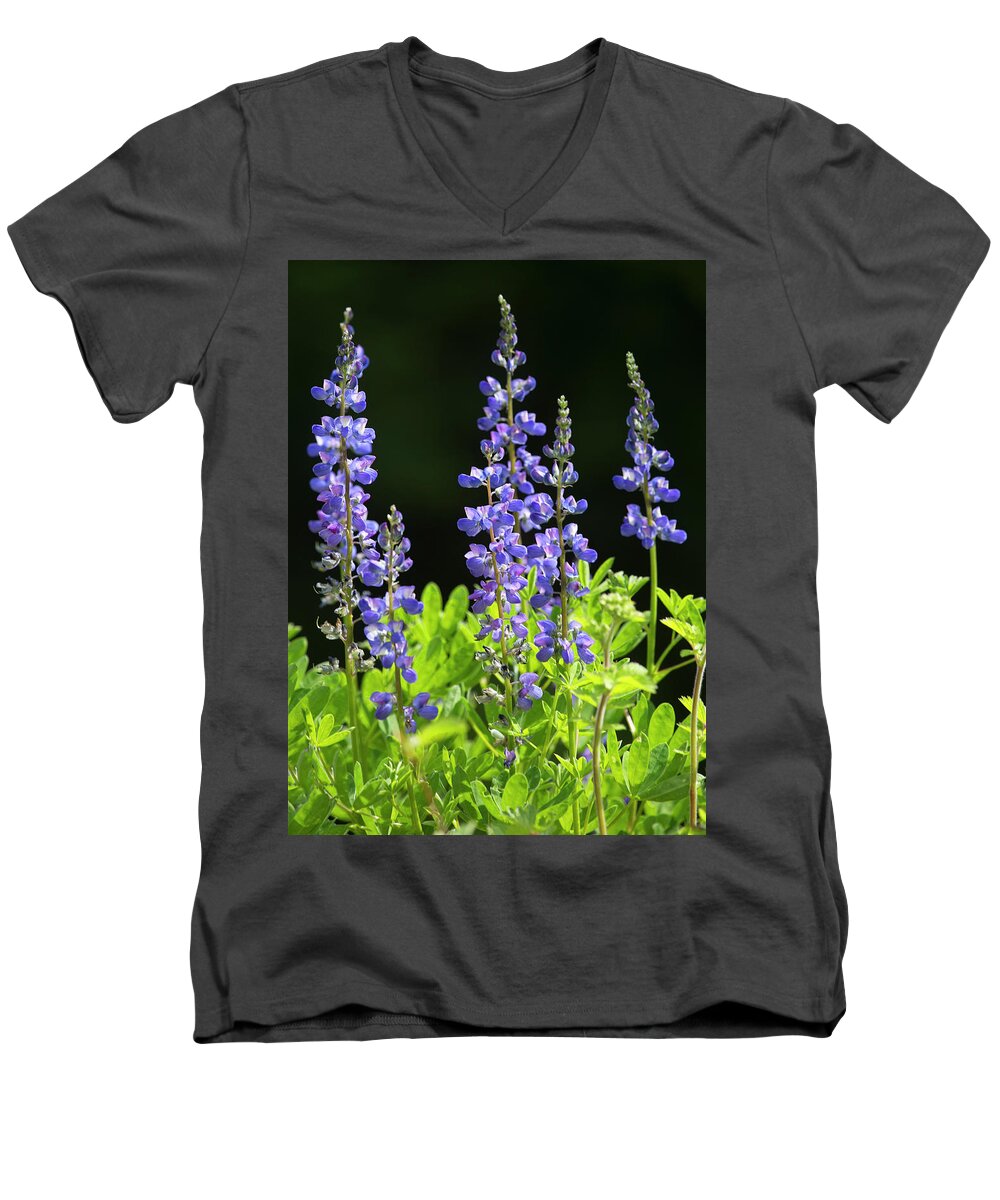 Lupines Men's V-Neck T-Shirt featuring the photograph Brilliant Lupines by Elvira Butler