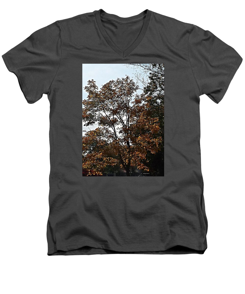 Colorful Men's V-Neck T-Shirt featuring the photograph Brown by Jana E Provenzano