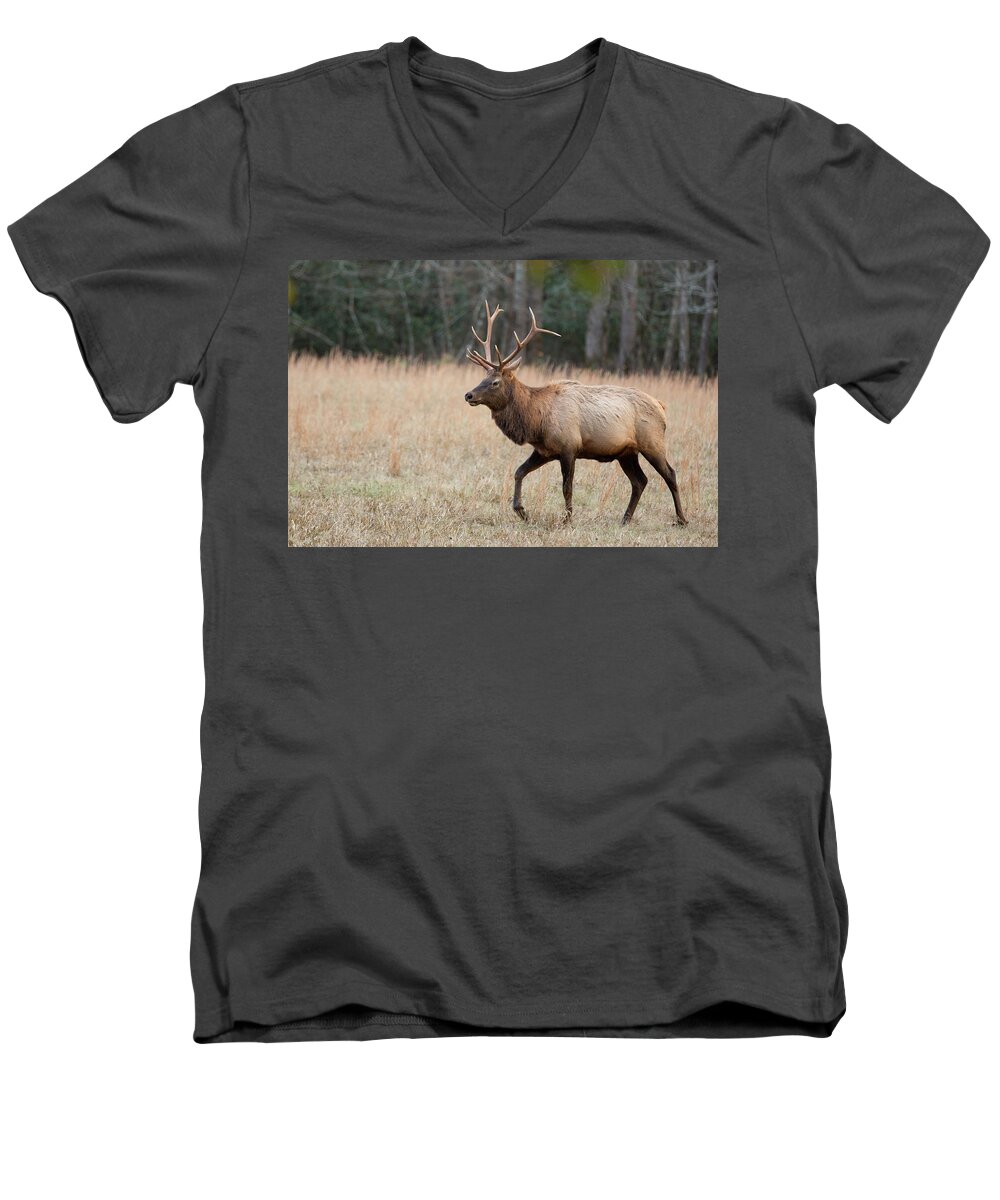 Deer Men's V-Neck T-Shirt featuring the photograph Bull Elk by Jack Nevitt