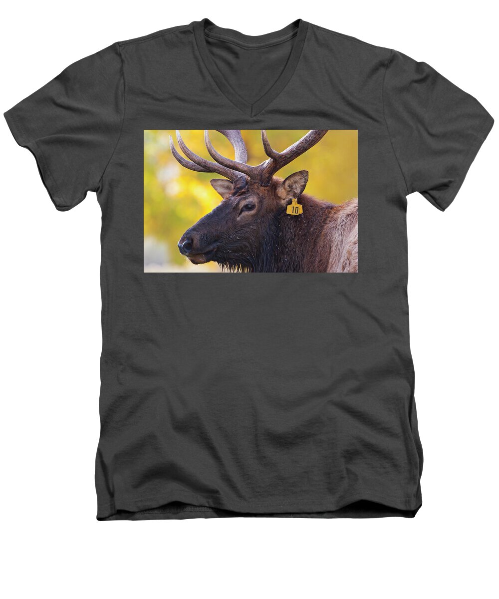 Bull Elk Number Ten Men's V-Neck T-Shirt featuring the photograph Bull Elk Number 10 by Mark Miller