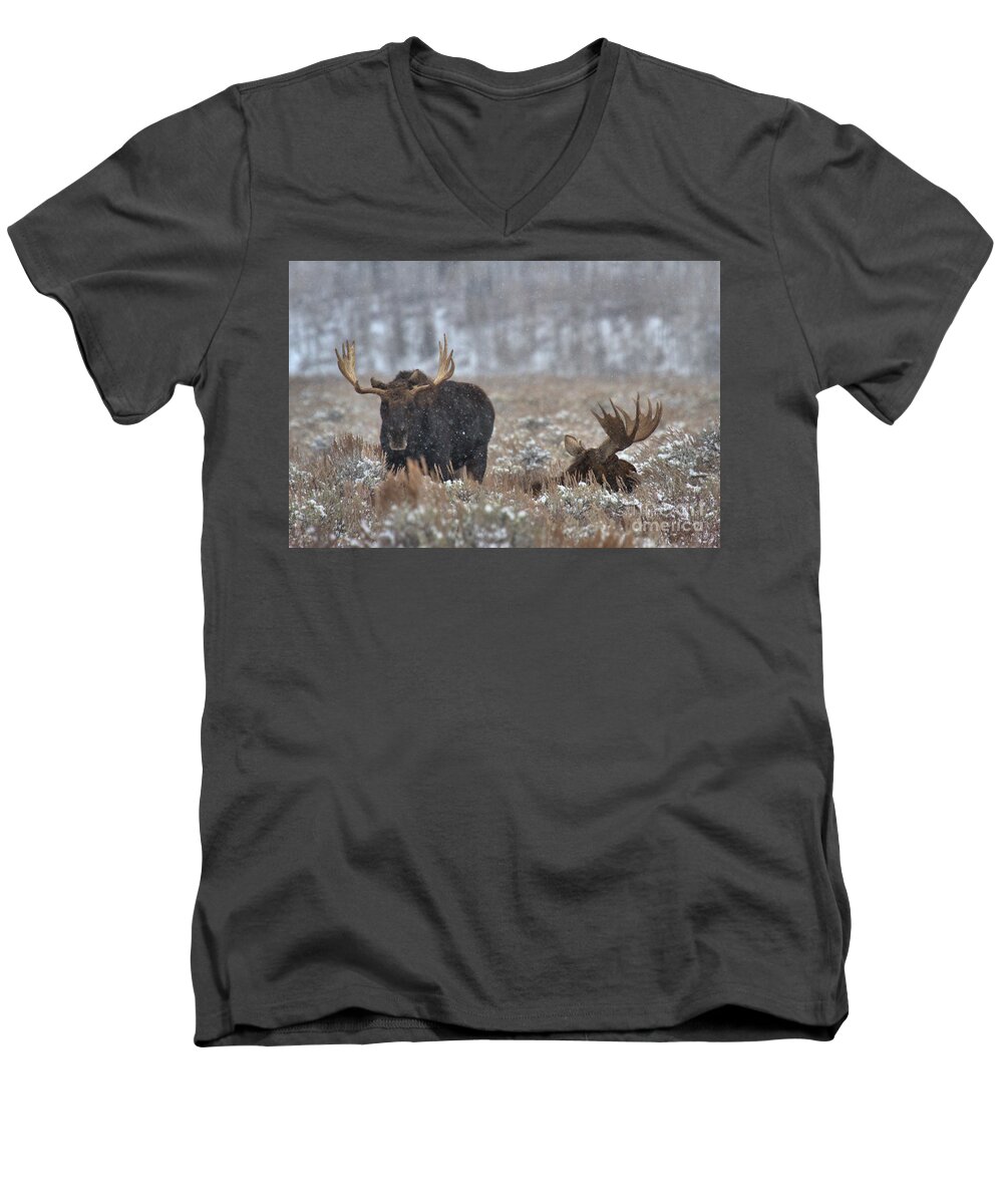  Men's V-Neck T-Shirt featuring the photograph Bull Moose Winter Wandering by Adam Jewell
