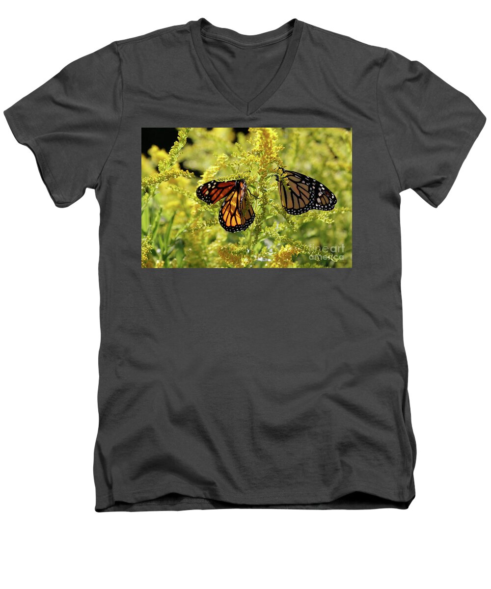 Monarch Butterfly Photo Men's V-Neck T-Shirt featuring the photograph Butterfly in Fall by Luana K Perez