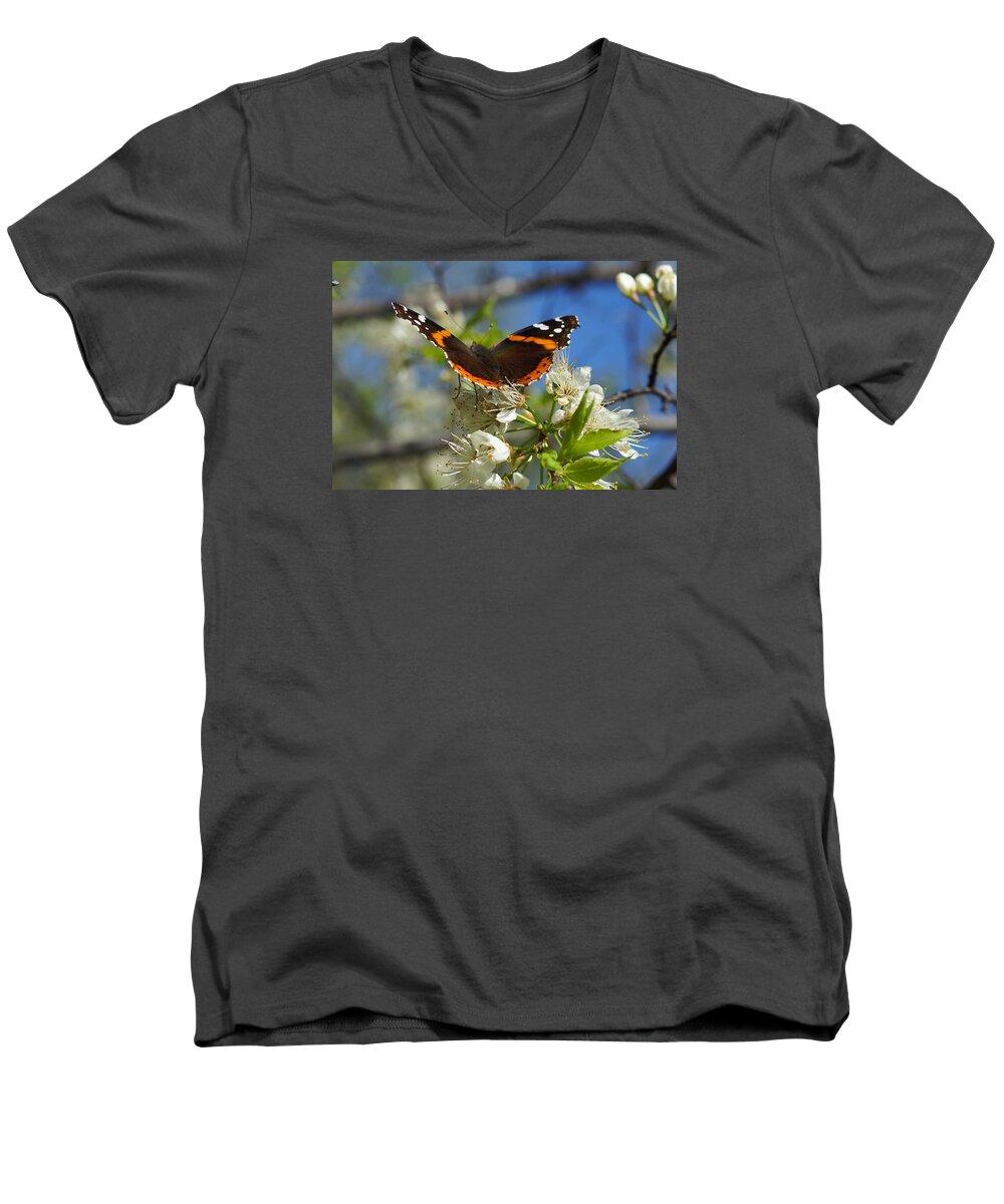 Butterfly Men's V-Neck T-Shirt featuring the photograph Butterfly on Blossoms by Steven Clipperton