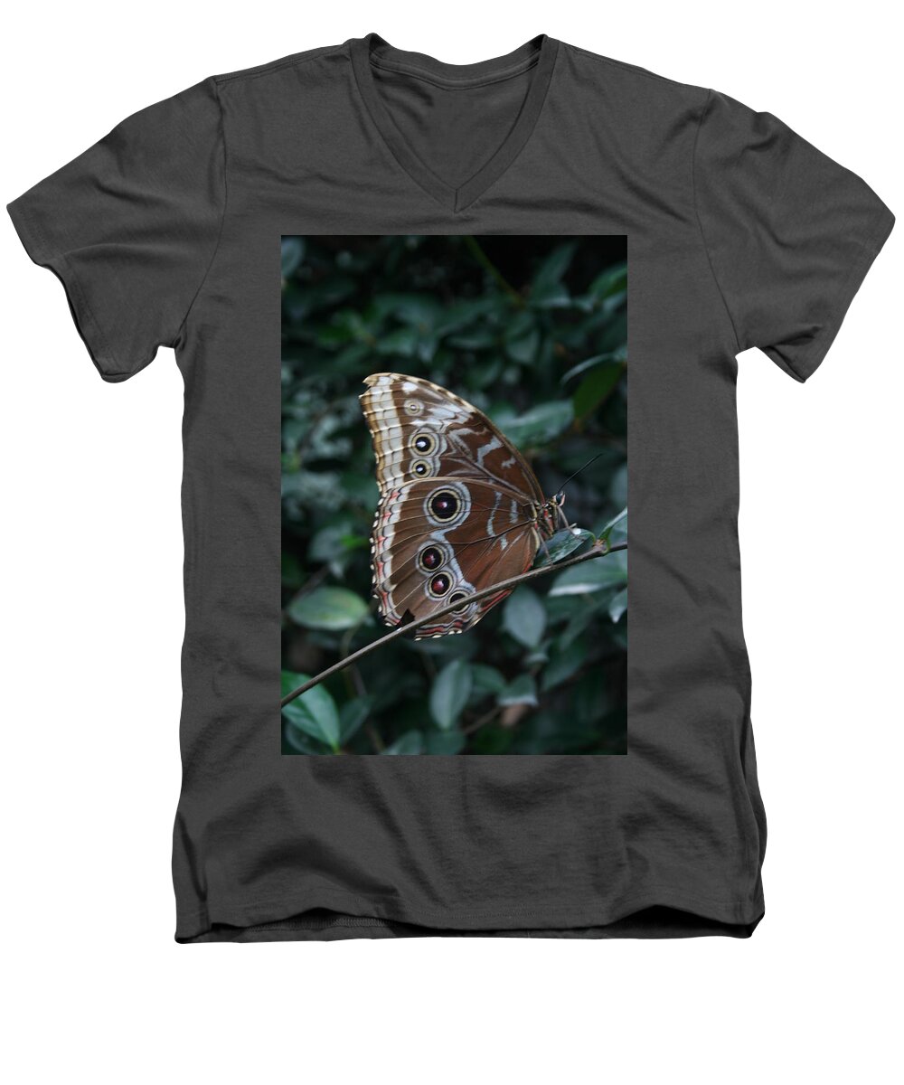 Butterfly Men's V-Neck T-Shirt featuring the photograph Butterfly Wonderland 3 by Grant Washburn