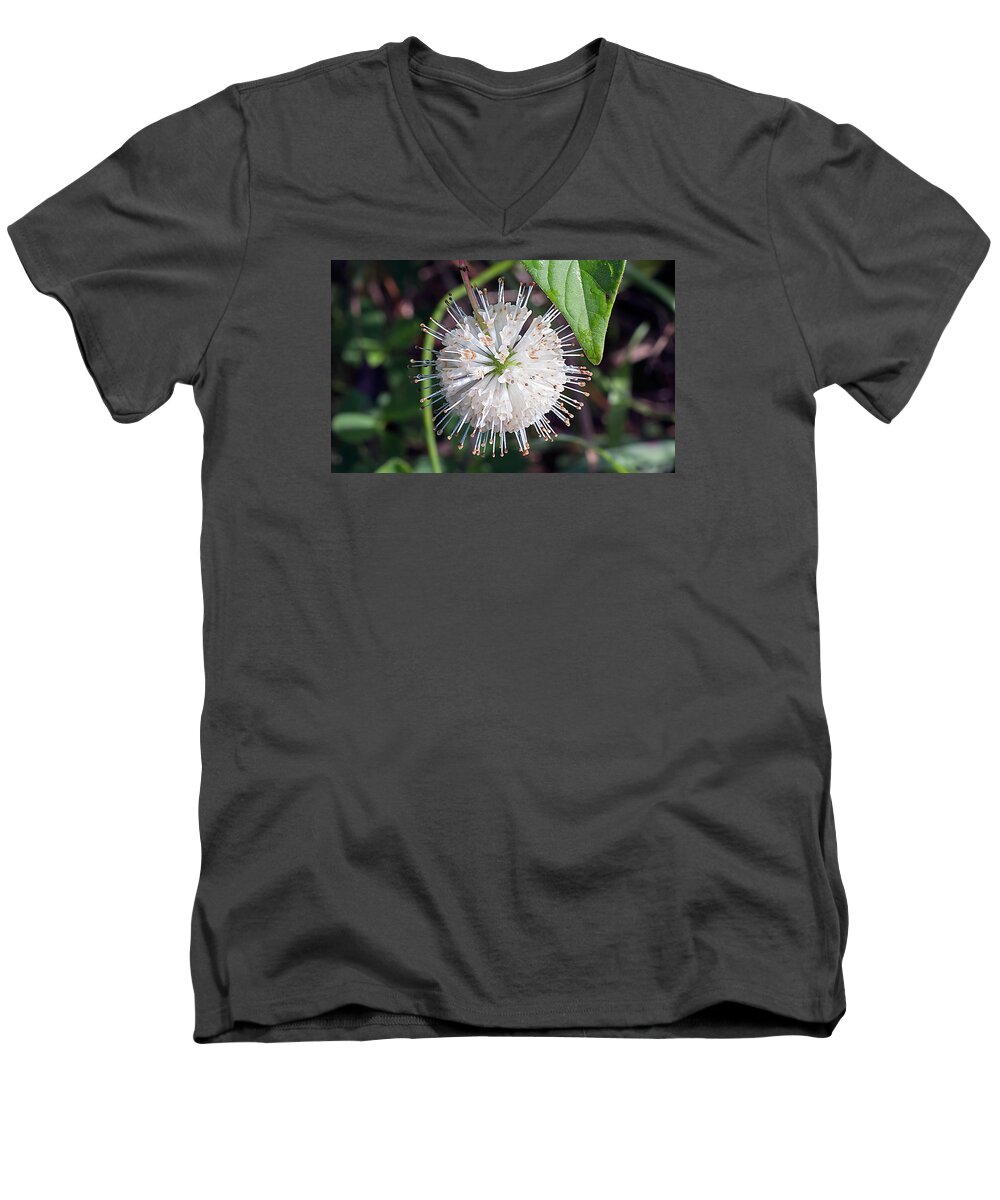 Nature Men's V-Neck T-Shirt featuring the photograph Buttonbush by Kenneth Albin