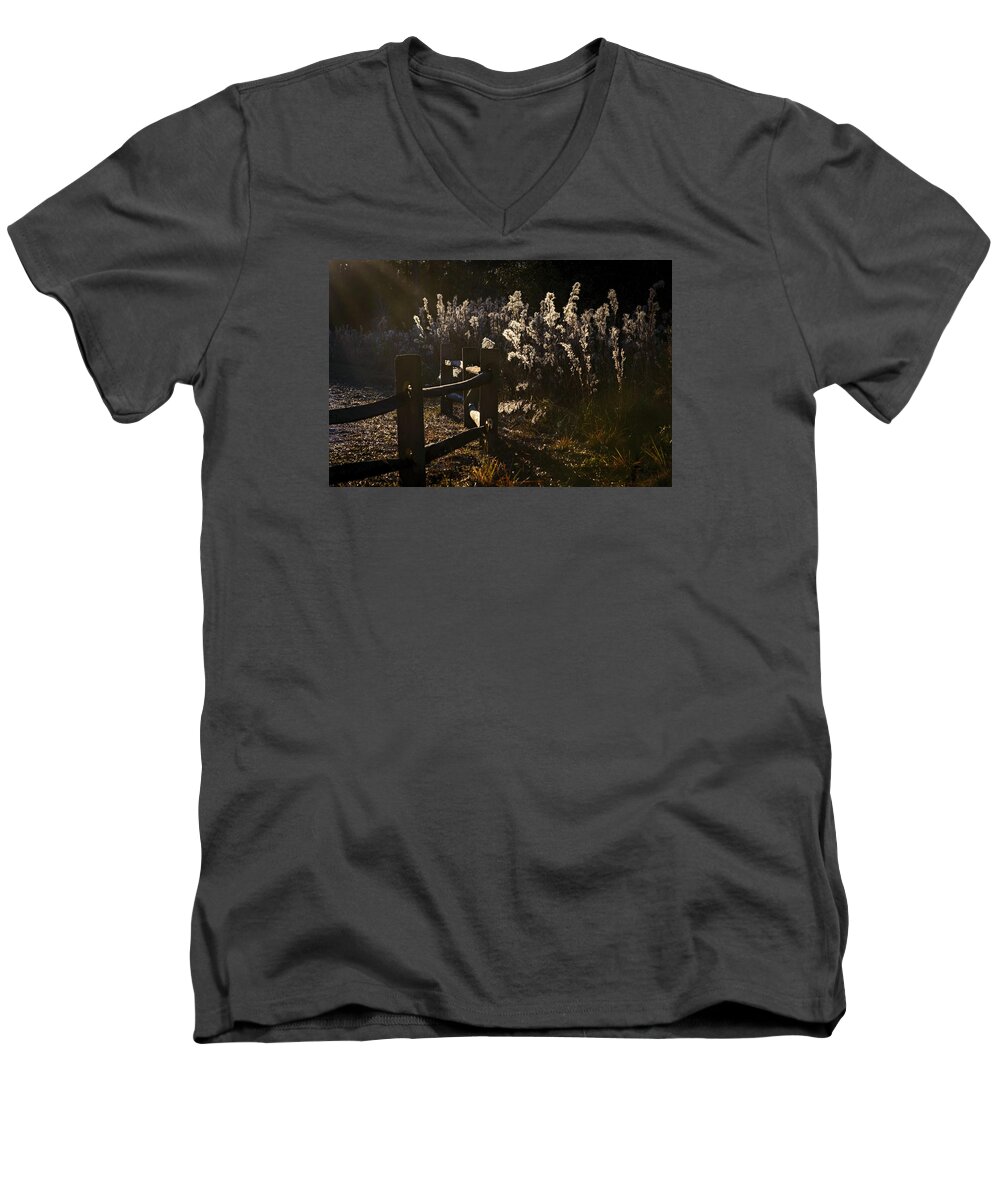 Wildflowers Men's V-Neck T-Shirt featuring the photograph By The Way by Steven Sparks