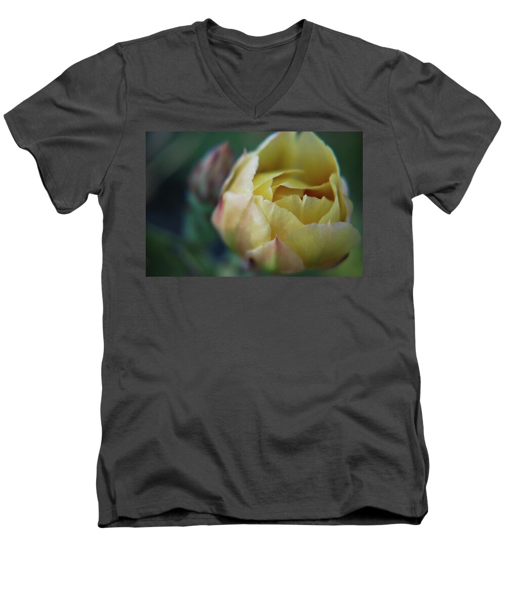 Cactus Men's V-Neck T-Shirt featuring the photograph Cactus Beauty by Amee Cave