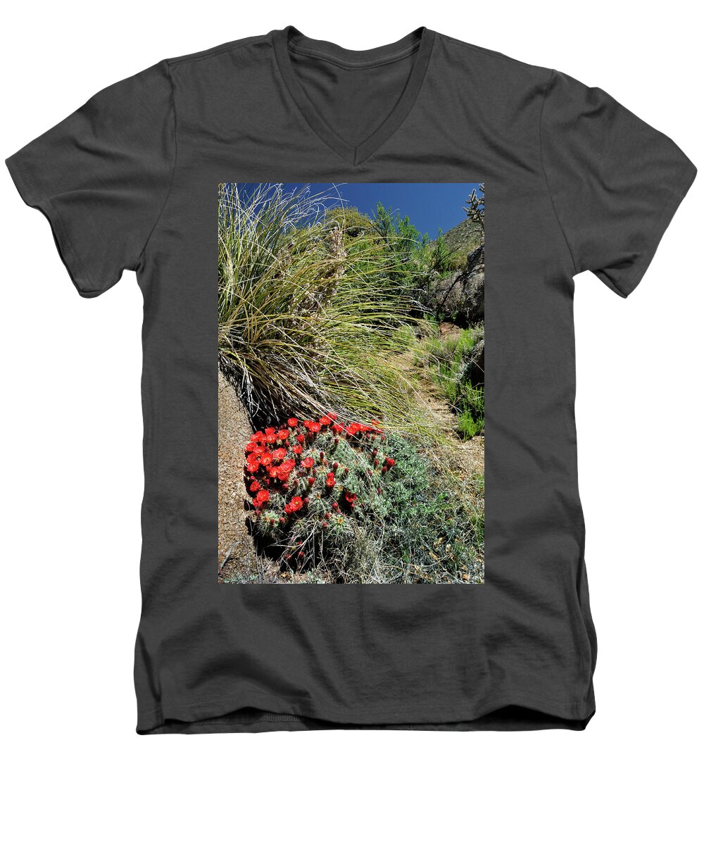 Landscape Men's V-Neck T-Shirt featuring the photograph Crimson Barrel Cactus by Ron Cline