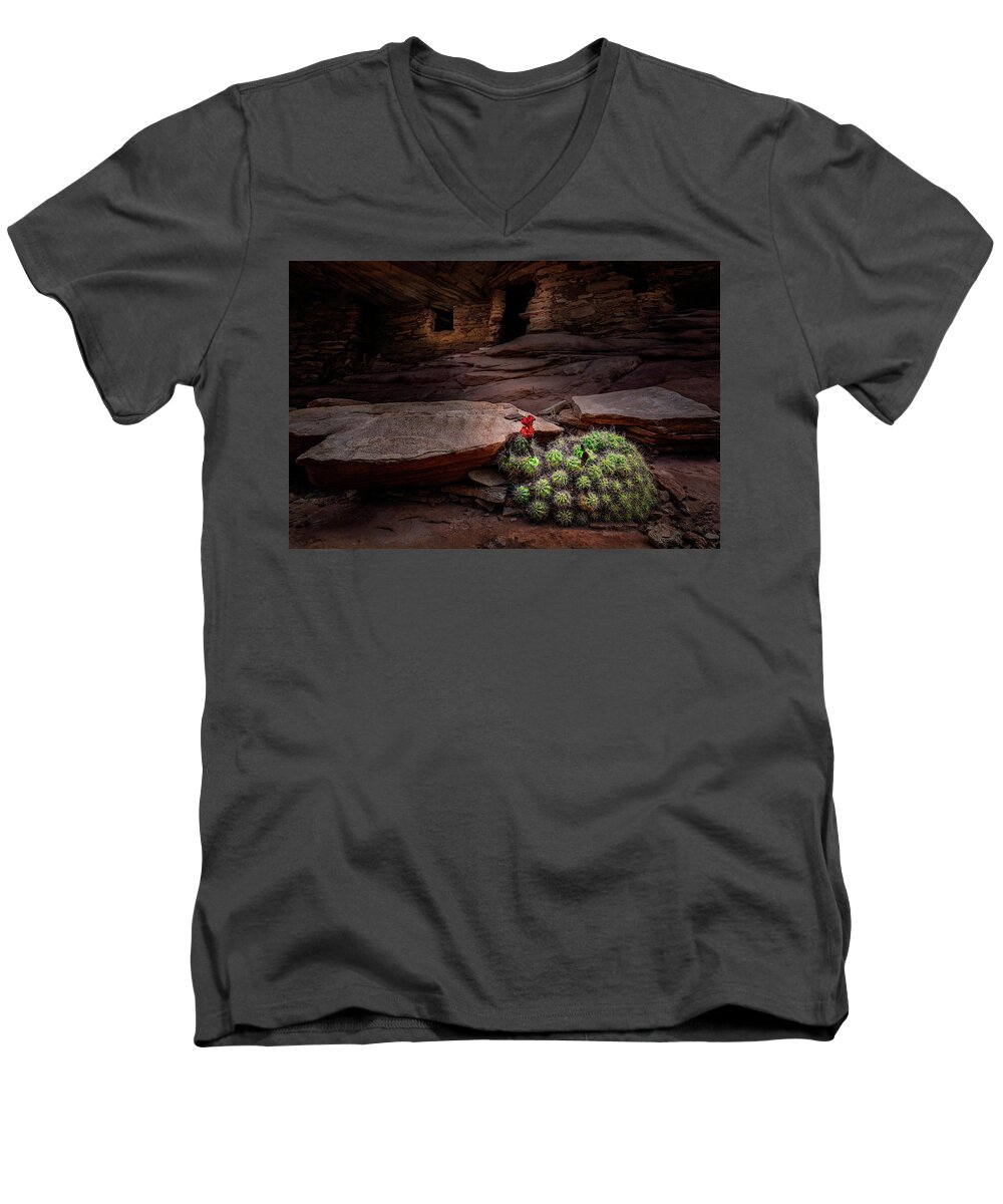 Bears Ears National Men's V-Neck T-Shirt featuring the photograph Cactus on Fire by Michael Ash
