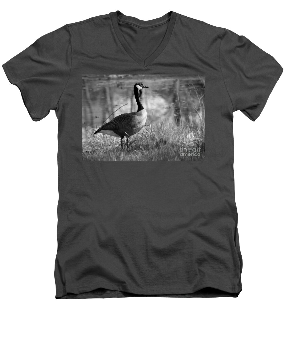 Wildlife Men's V-Neck T-Shirt featuring the photograph Canada Goose Black and White by Karen Adams