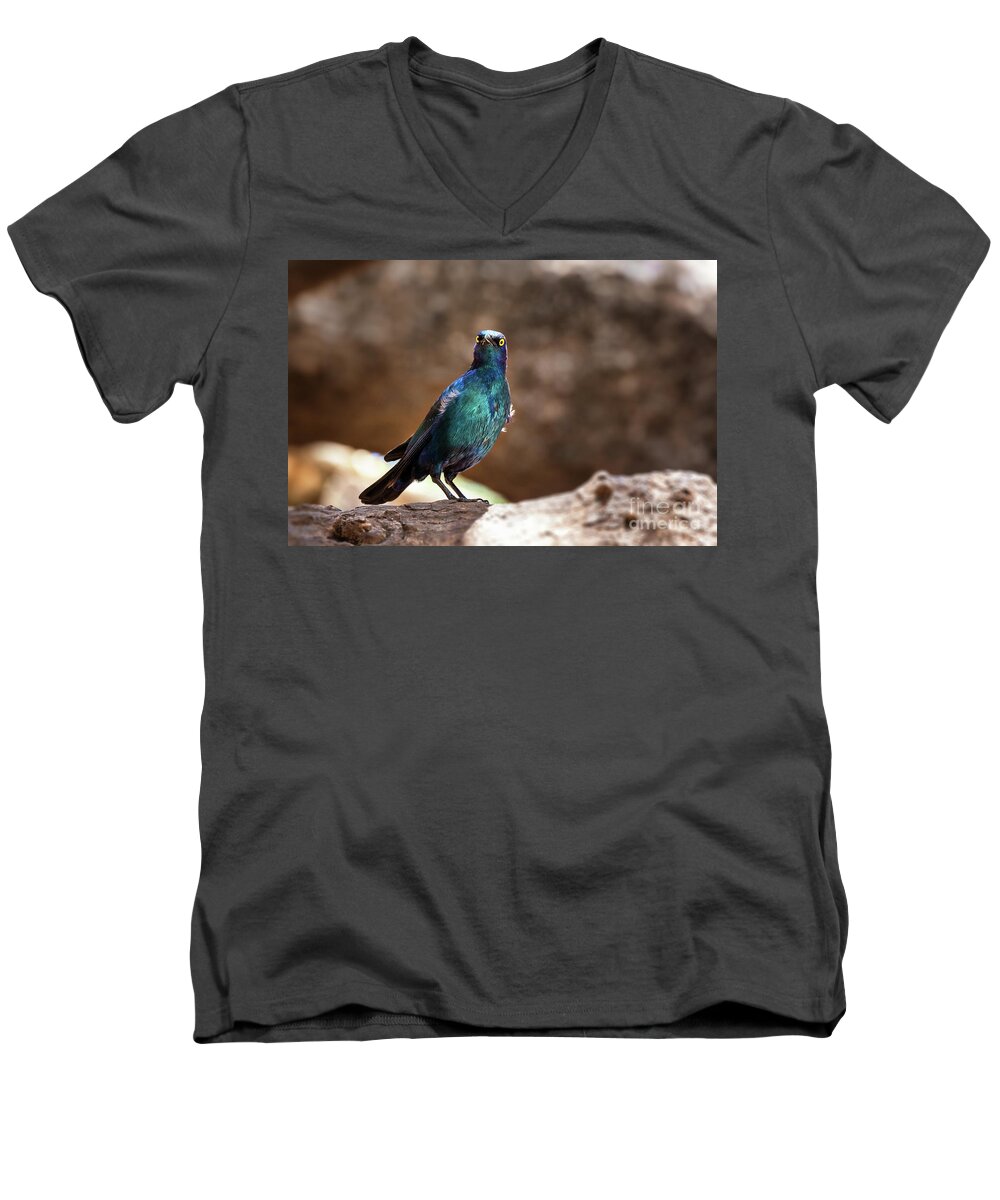 Starling Men's V-Neck T-Shirt featuring the photograph Cape glossy starling by Jane Rix