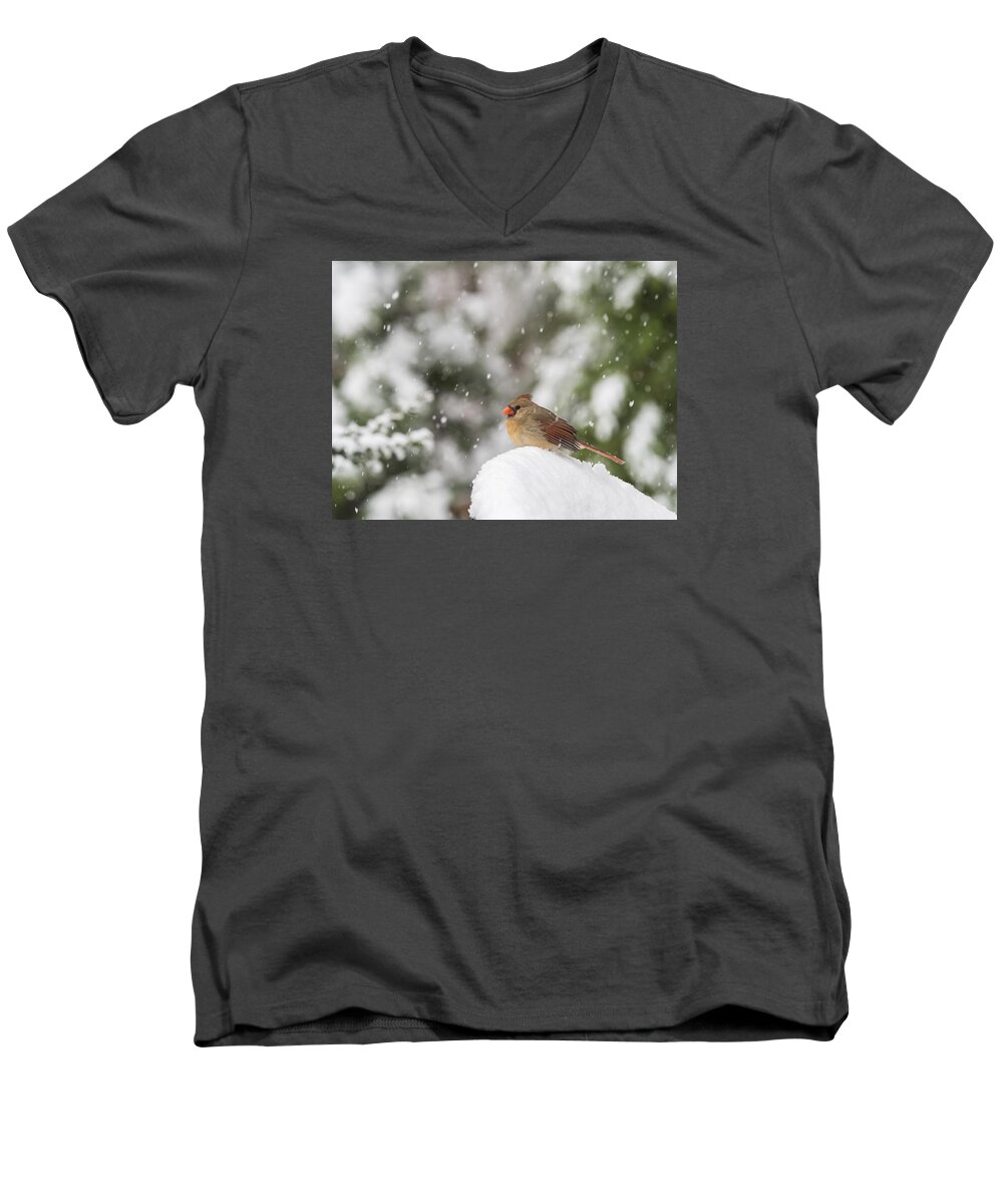Bird Men's V-Neck T-Shirt featuring the photograph Cardinal in the Snow by David Kay
