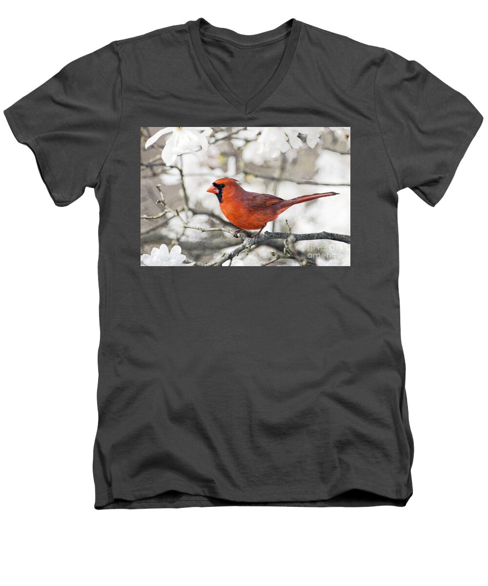 Texture Men's V-Neck T-Shirt featuring the photograph Cardinal Spring - D009909-a by Daniel Dempster