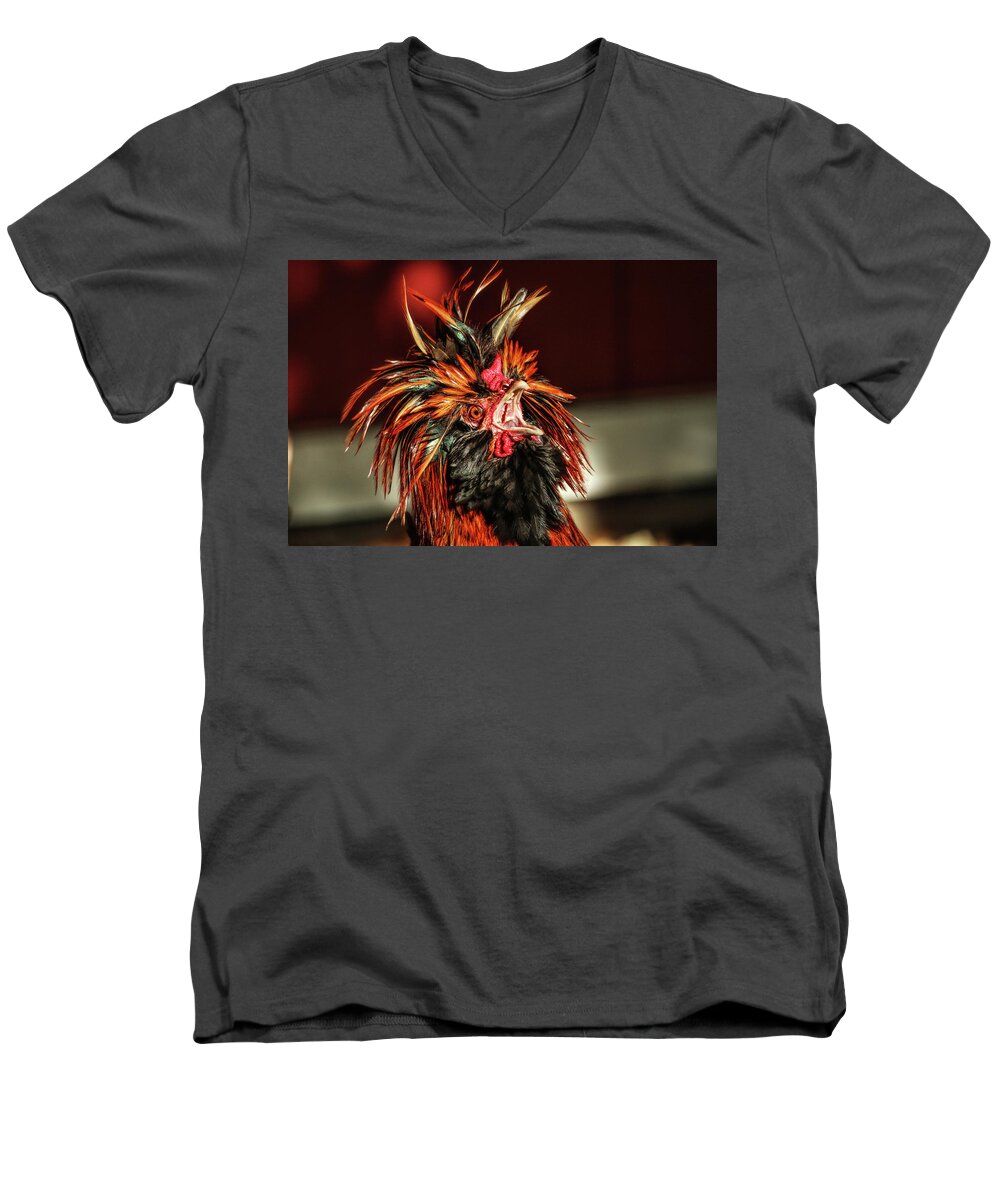 Rooster Men's V-Neck T-Shirt featuring the photograph Something to Crow About by Lynn Sprowl