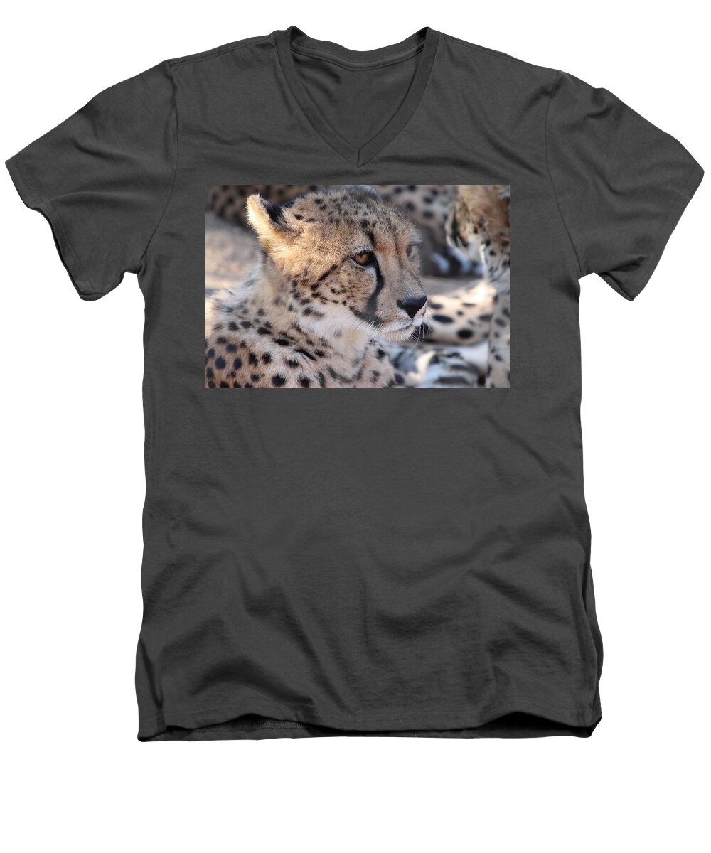 Cheetah Men's V-Neck T-Shirt featuring the photograph Cheetah and Friends by Samantha Delory