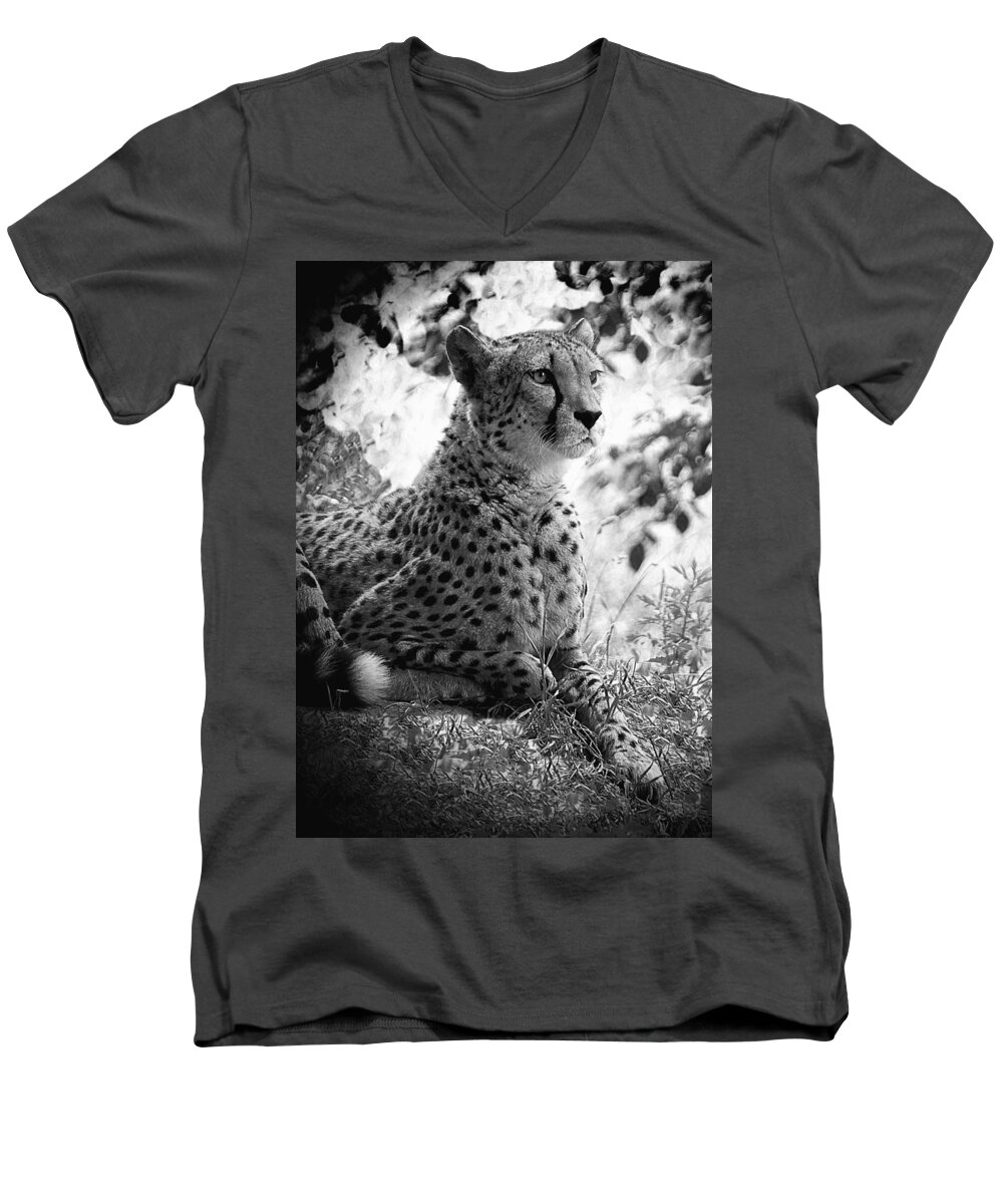 Cheetah B&w Men's V-Neck T-Shirt featuring the photograph Cheetah B W, Guepard Black And White by Jean Francois Gil