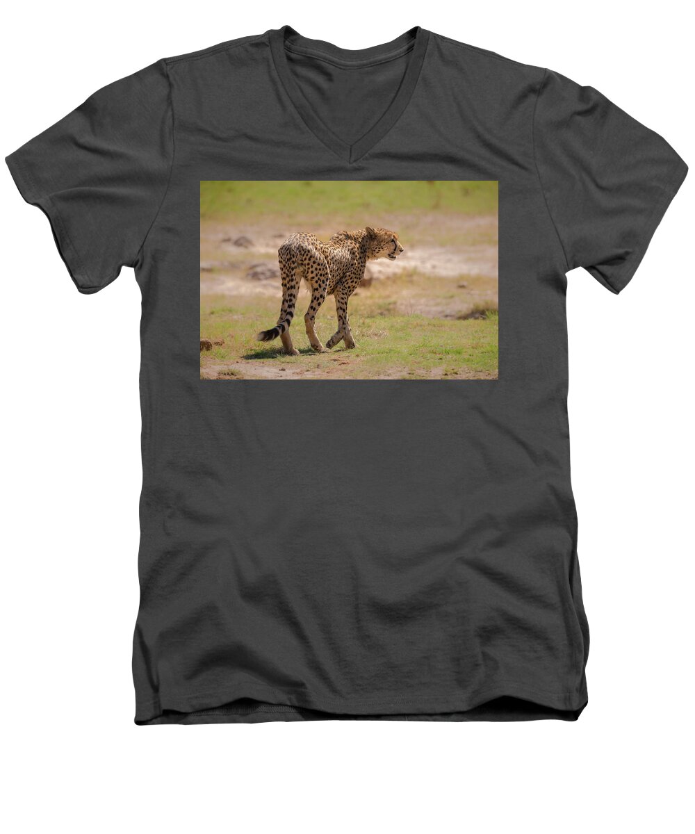 Acinonyx Jubatus Men's V-Neck T-Shirt featuring the photograph Cheetah by James Capo