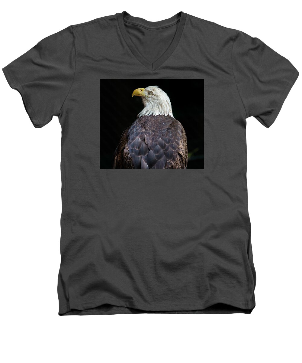 Bald Eagle Men's V-Neck T-Shirt featuring the photograph Cheyenne the Eagle by Greg Nyquist