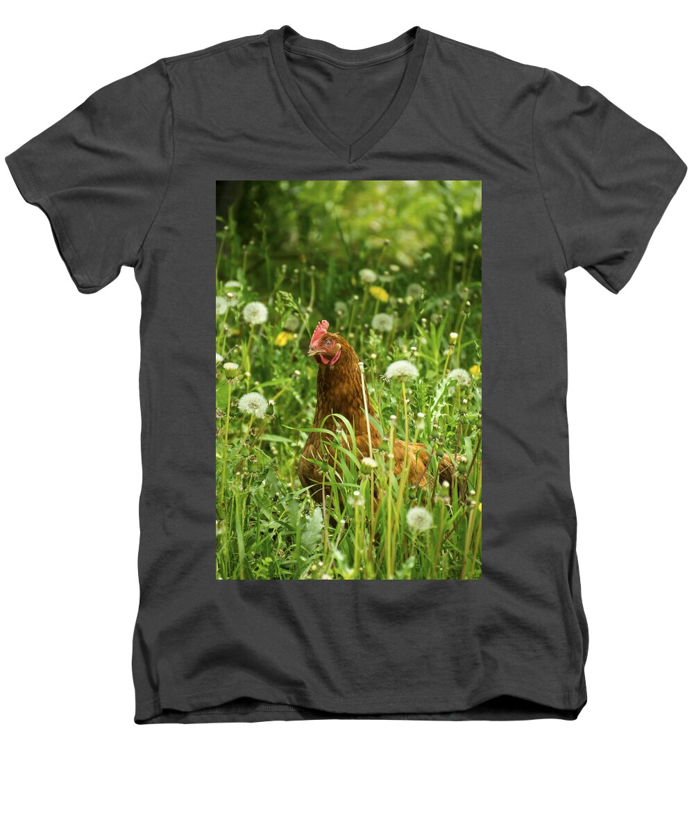 Chicken Men's V-Neck T-Shirt featuring the photograph Chicken by Tracy Winter