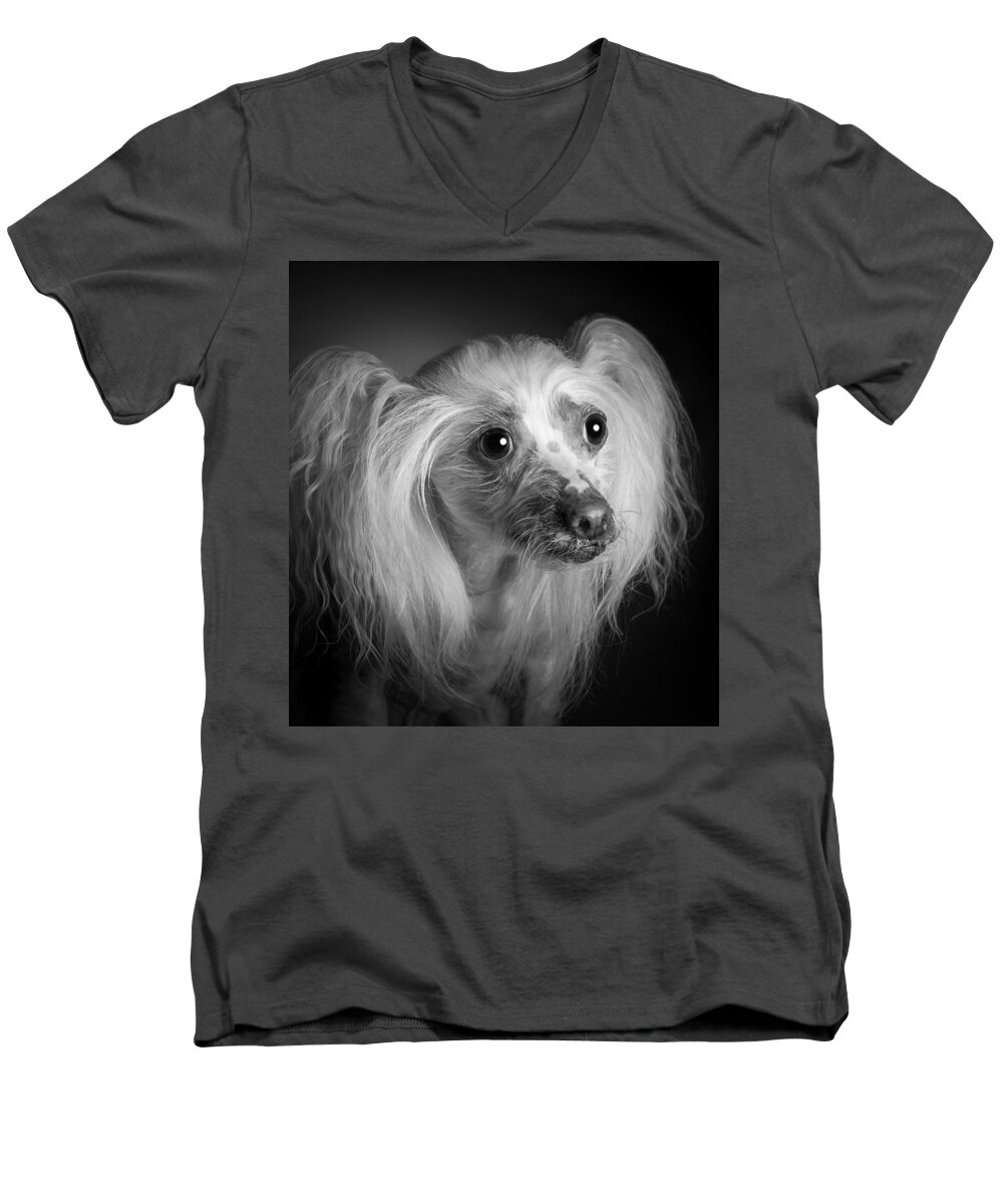 Dog Men's V-Neck T-Shirt featuring the photograph Chinese Crested - 04 by Larry Carr
