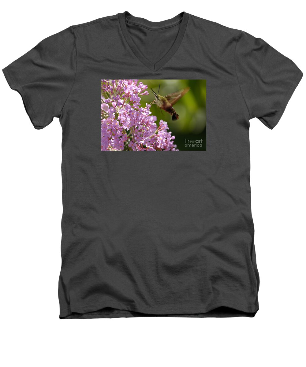Hummingbird Clearwing Men's V-Neck T-Shirt featuring the photograph Clearwing Pink by Randy Bodkins