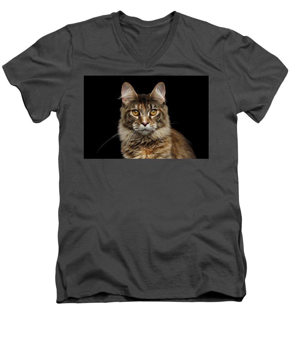 Cat Men's V-Neck T-Shirt featuring the photograph Closeup Maine Coon Cat Portrait Isolated on Black Background by Sergey Taran