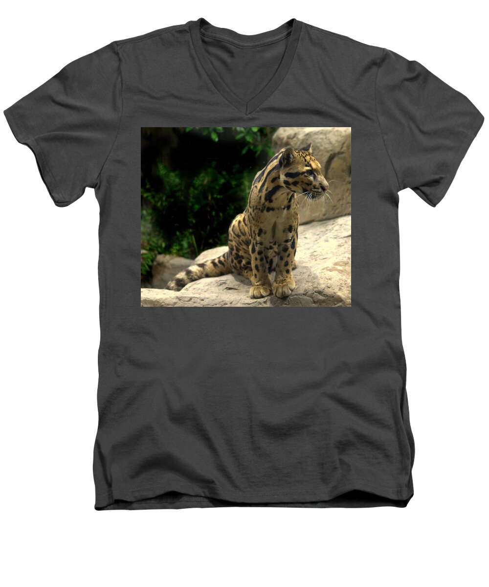 Feline Men's V-Neck T-Shirt featuring the photograph Clouded Leopard Neofelis nebulosa by Nathan Abbott