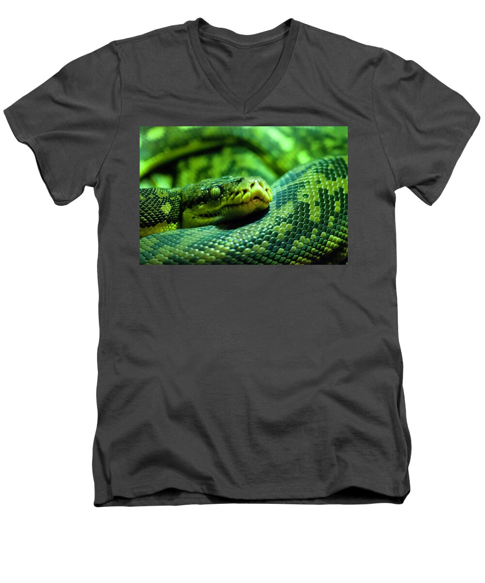 Photography Men's V-Neck T-Shirt featuring the photograph Coiled Calm by Kathleen Messmer