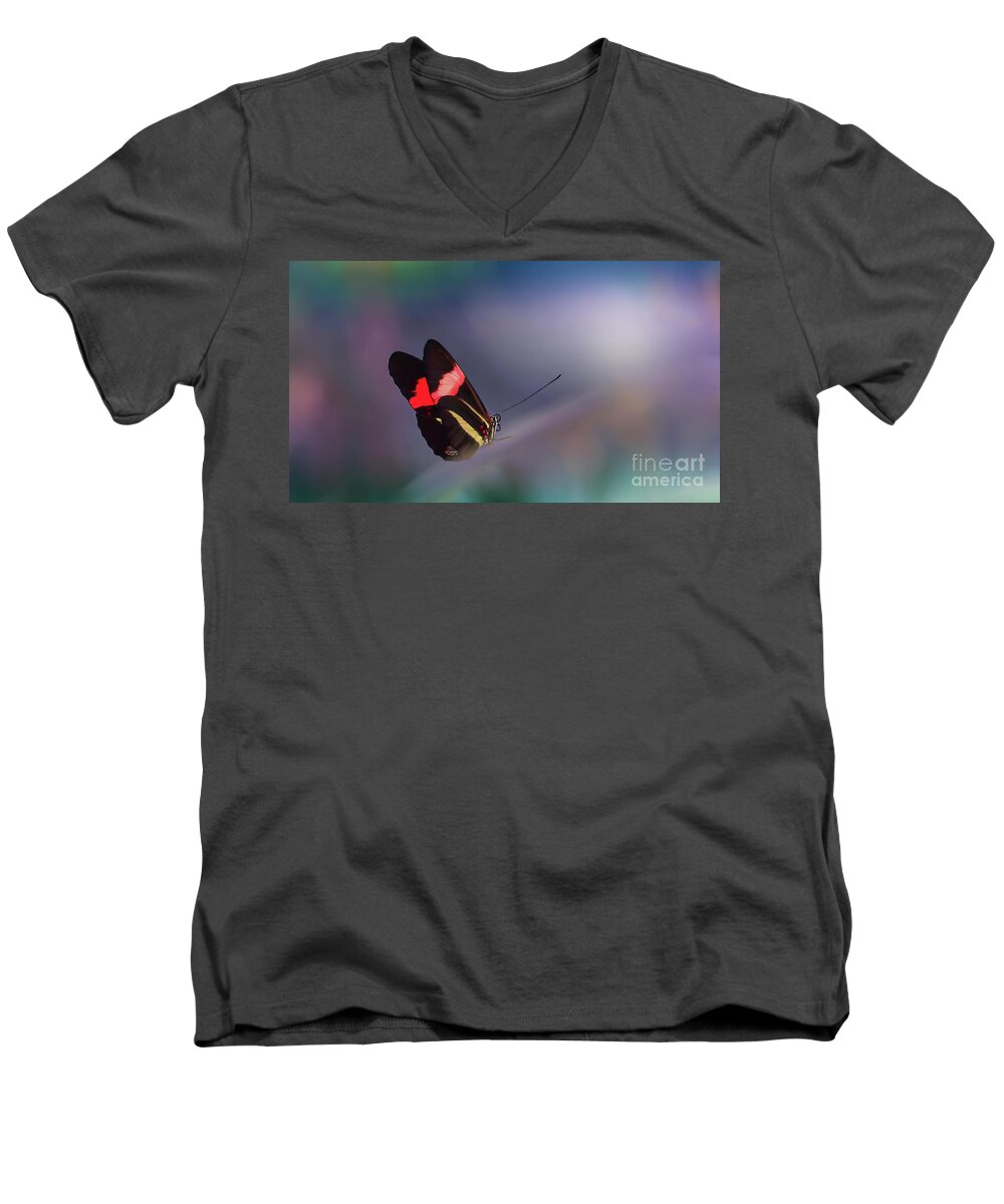 Butterfly Men's V-Neck T-Shirt featuring the photograph colorful Butterfly by Franziskus Pfleghart