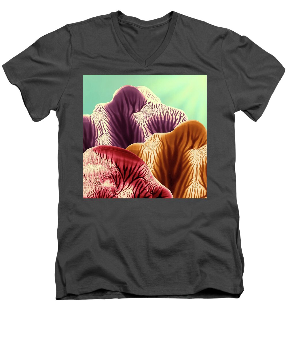 Abstract Men's V-Neck T-Shirt featuring the mixed media Colorful Desert Mountains at Sunrise by Amy Vangsgard