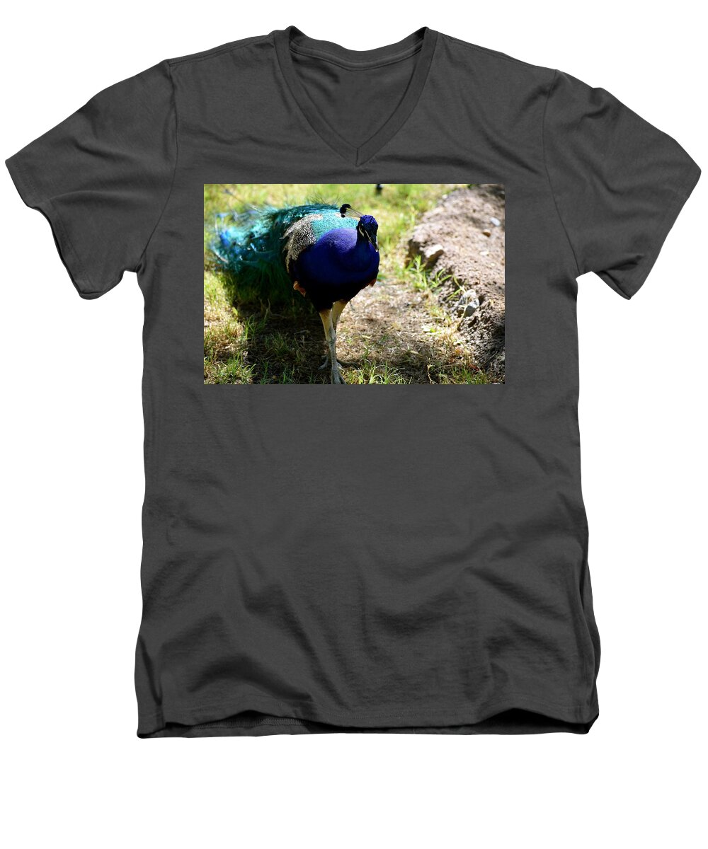Peacock Men's V-Neck T-Shirt featuring the photograph Coming Through by Melisa Elliott