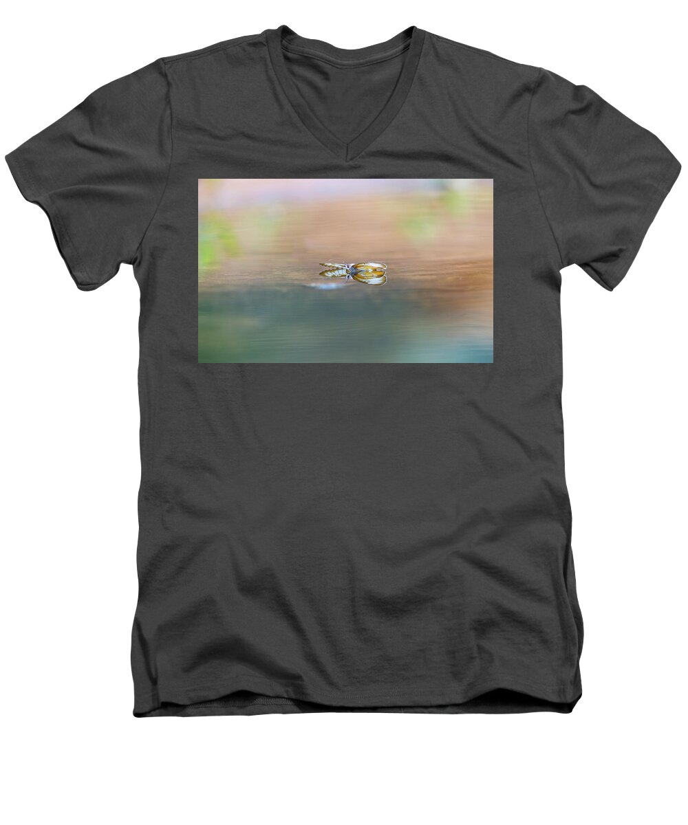Common Mestra Men's V-Neck T-Shirt featuring the photograph Common Mestra by Kathy Adams Clark