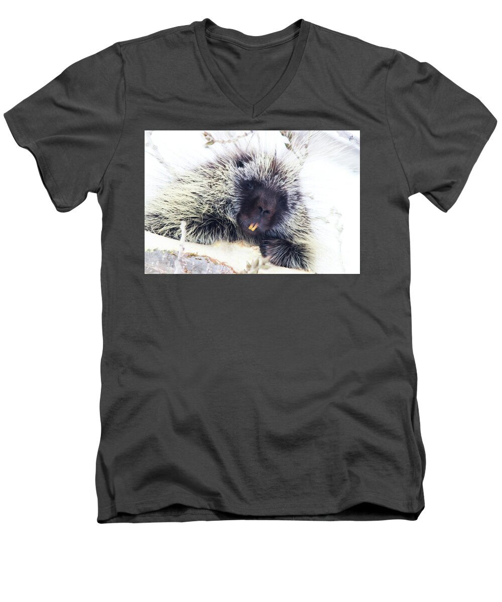 Canada Men's V-Neck T-Shirt featuring the photograph Common Porcupine by Alyce Taylor