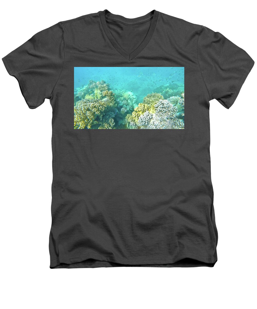 Coral Men's V-Neck T-Shirt featuring the photograph Coral by Debbie Cundy