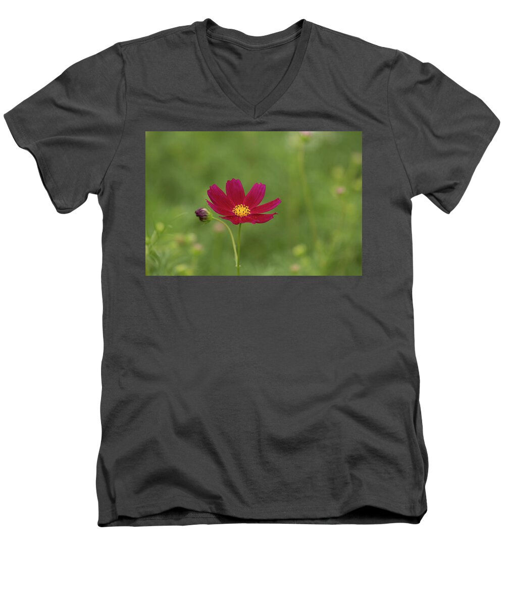 Color Men's V-Neck T-Shirt featuring the photograph Cosmos by Hyuntae Kim