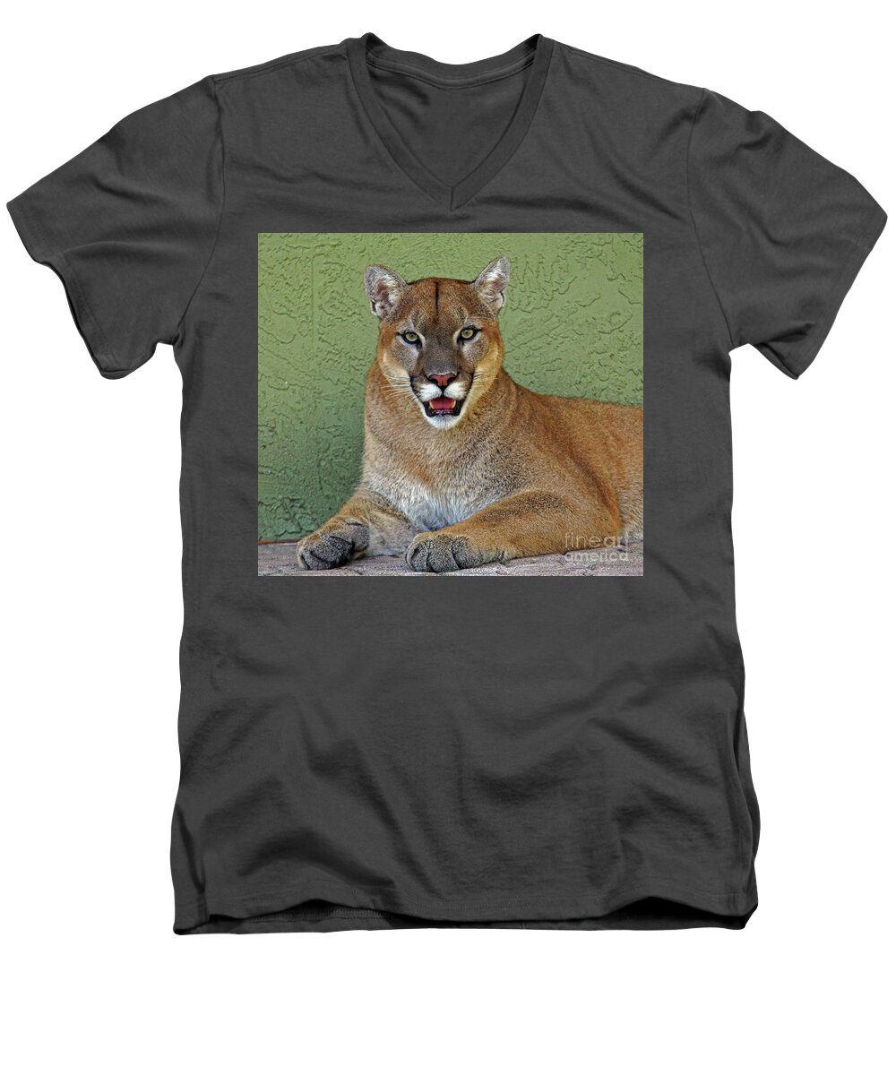 Cougar Men's V-Neck T-Shirt featuring the photograph Cougar by Larry Nieland