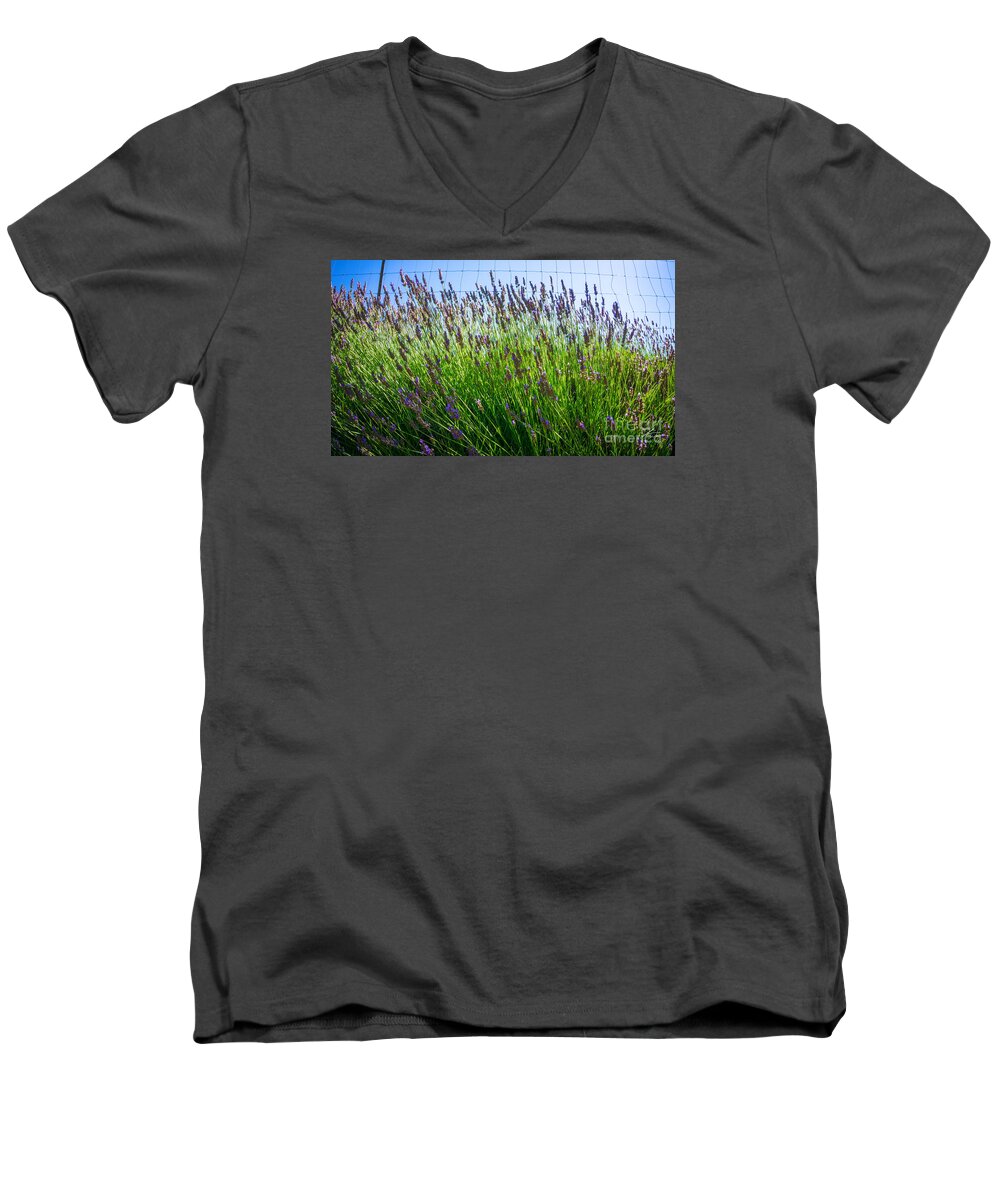 Flowers Men's V-Neck T-Shirt featuring the photograph Country Lavender II by Shari Warren