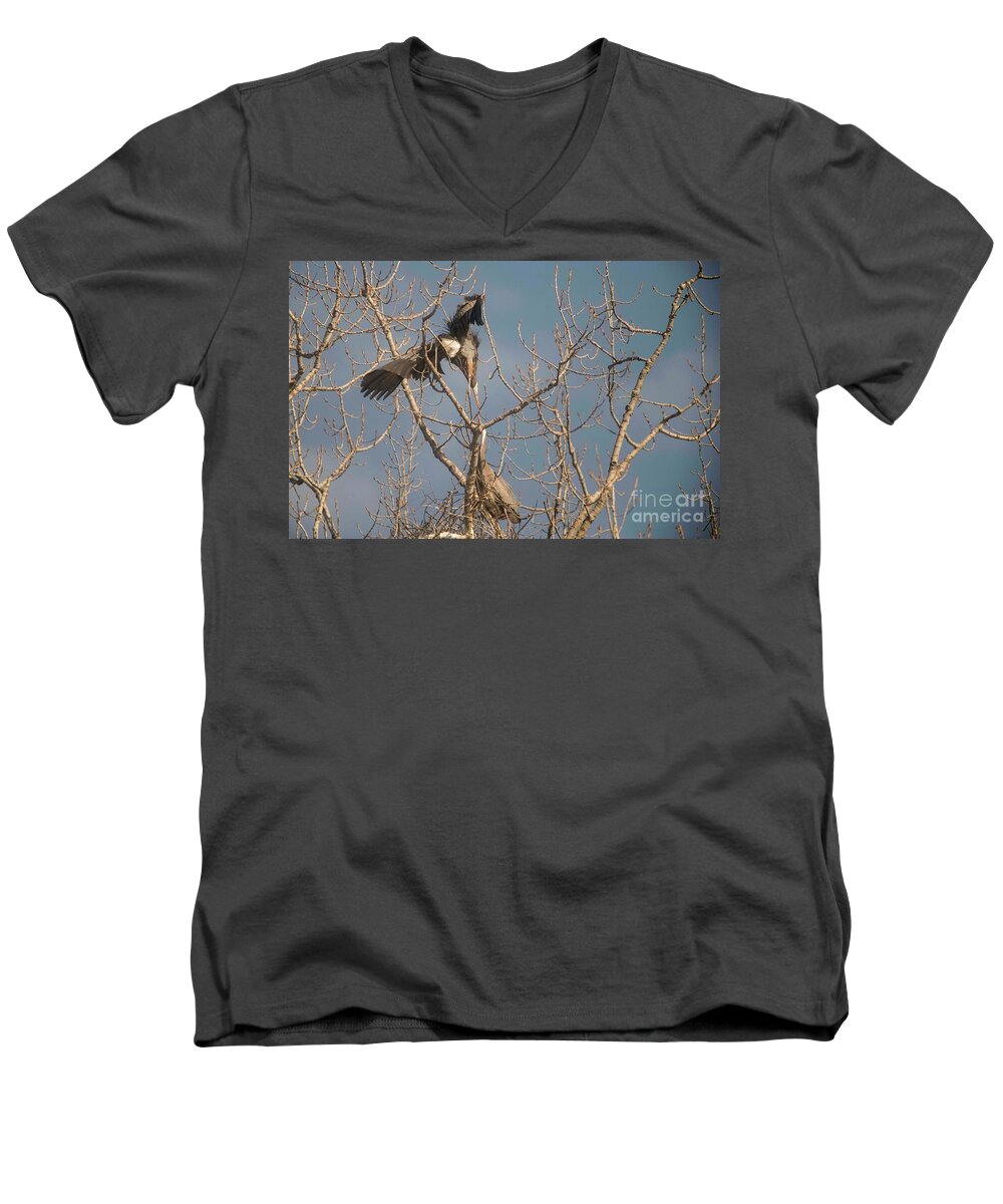 Courtship Men's V-Neck T-Shirt featuring the photograph Courtship ritual of the Great Blue Heron by David Bearden