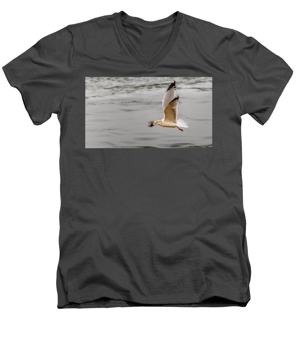 Animal Men's V-Neck T-Shirt featuring the photograph Crab with Seagull in flight by SAURAVphoto Online Store