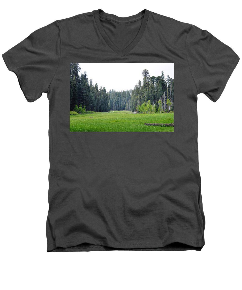 Sequoia National Park Men's V-Neck T-Shirt featuring the photograph Crescent Meadow by Kyle Hanson