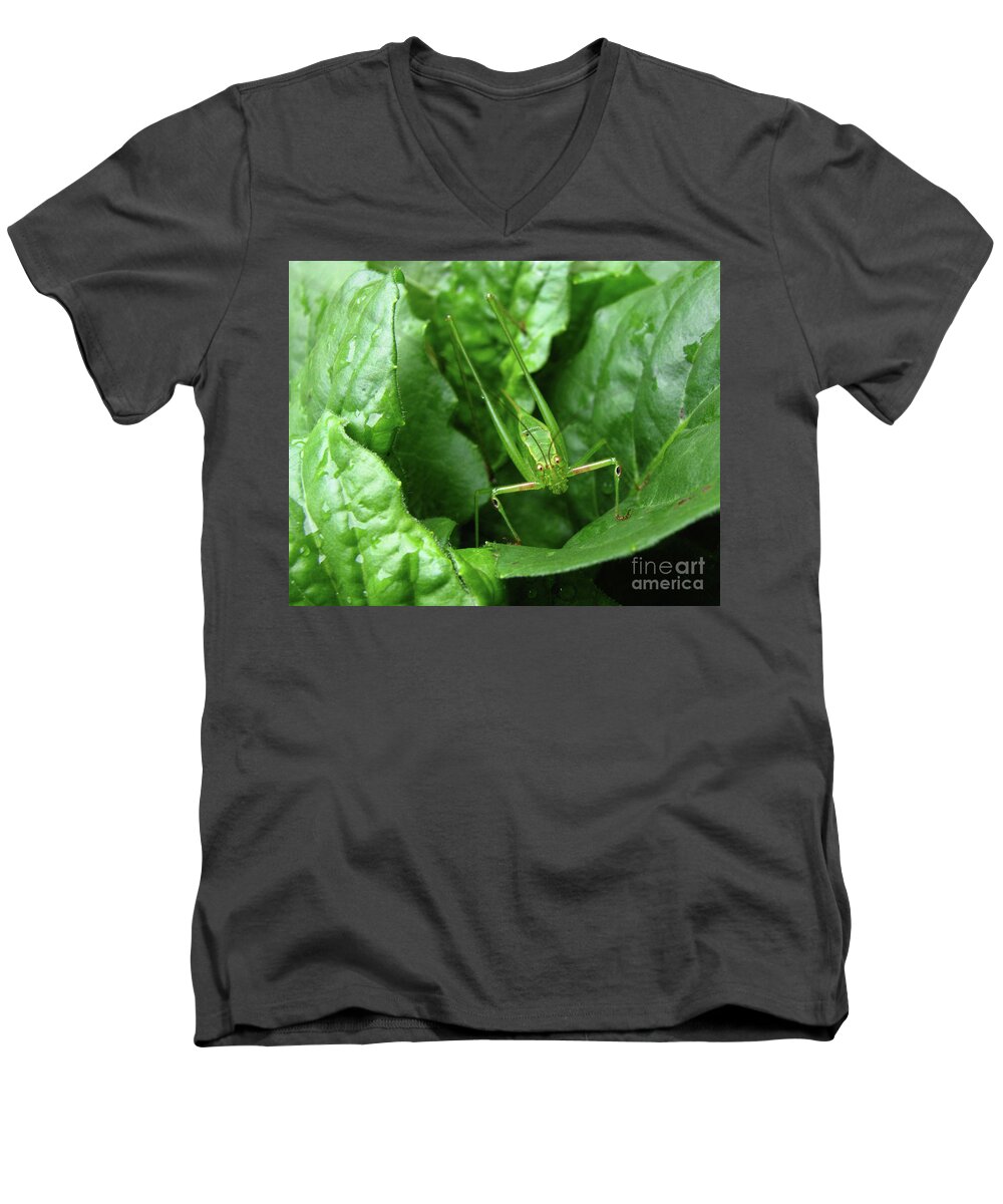 Insect Men's V-Neck T-Shirt featuring the photograph Cross-Eyed by Donna Brown