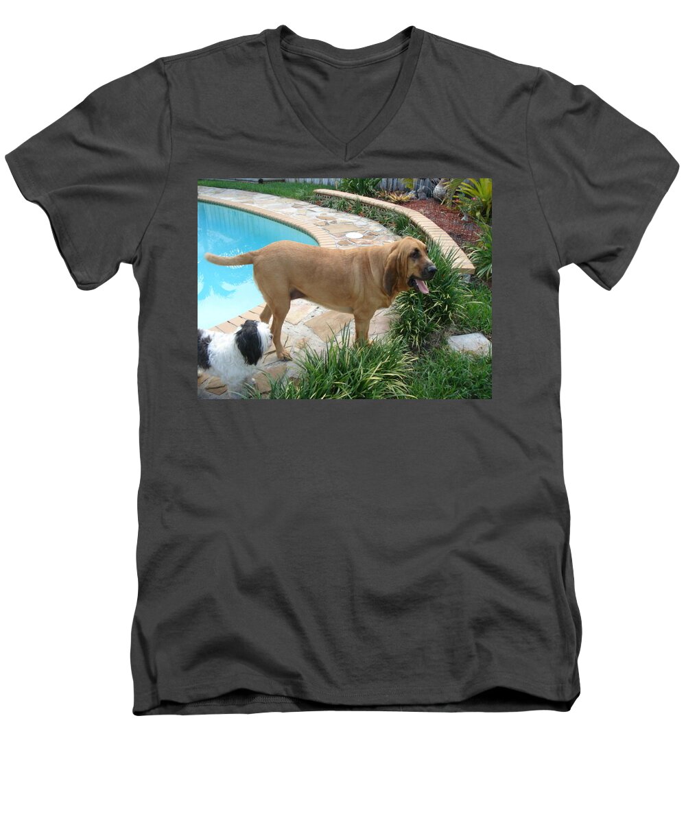 Bloodhound Men's V-Neck T-Shirt featuring the photograph Cujo and Lucky by the Pool by Val Oconnor